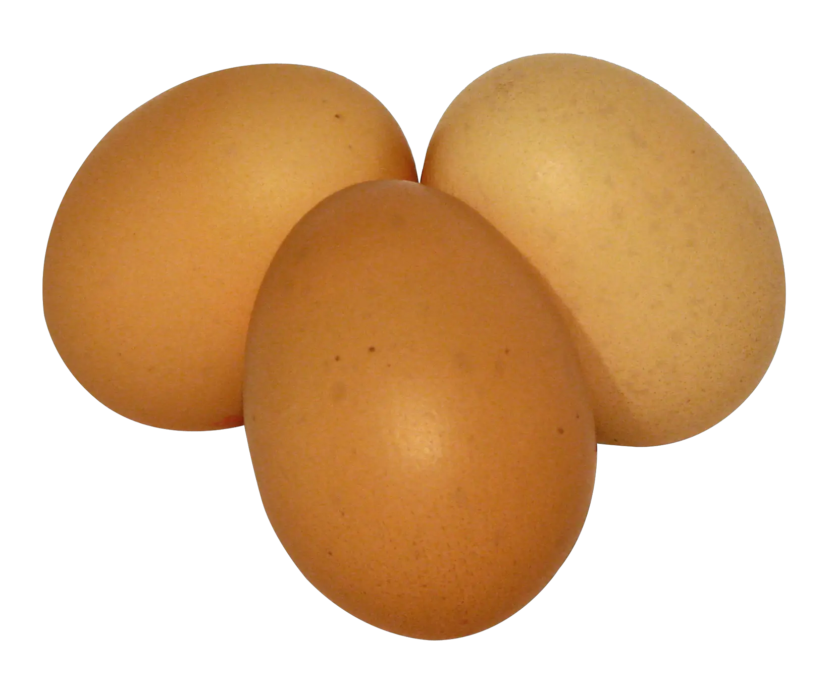 Eggs PNG