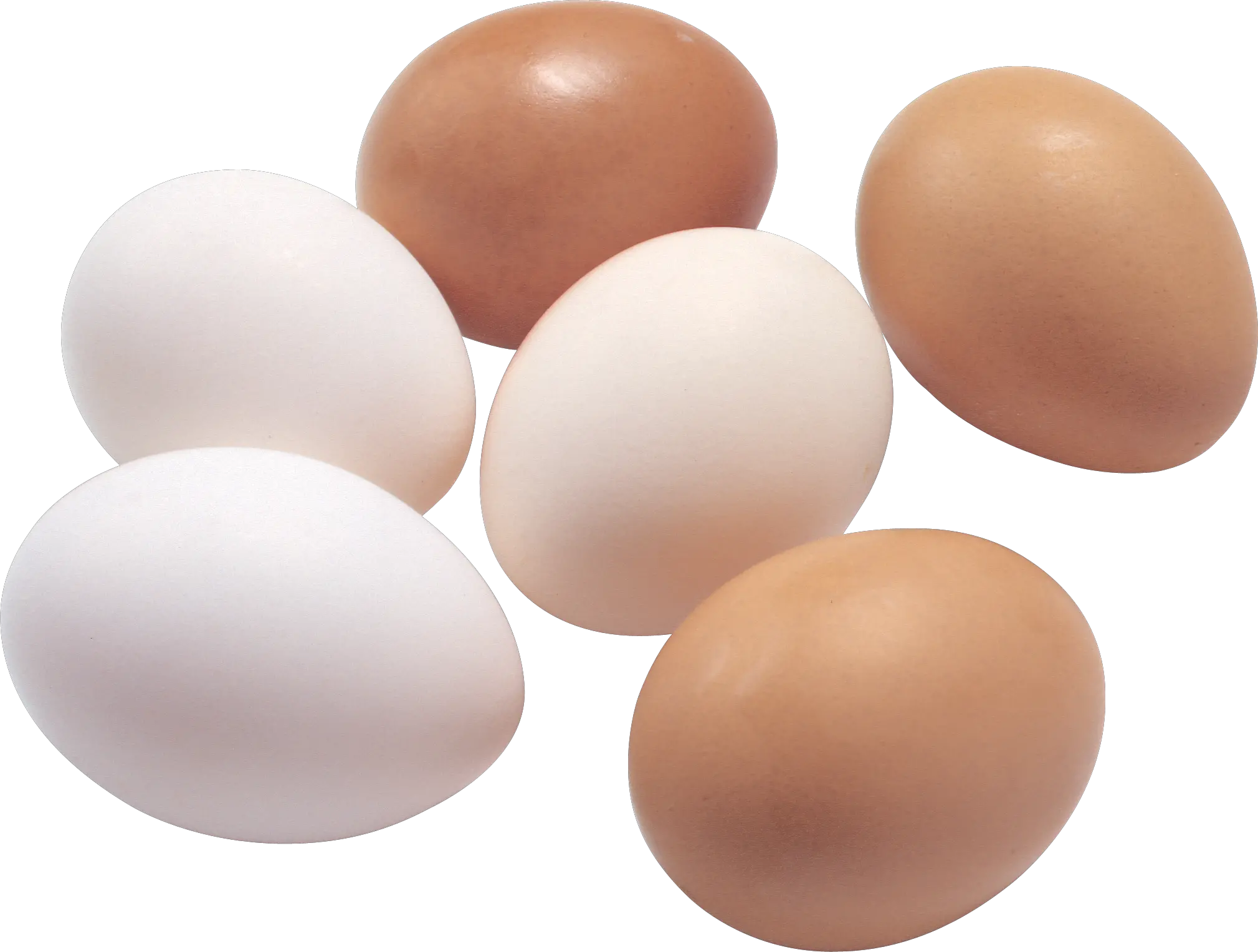 Egg PNG image