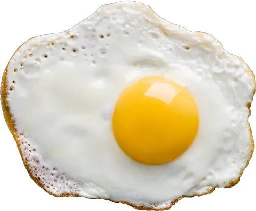 Fried egg PNG