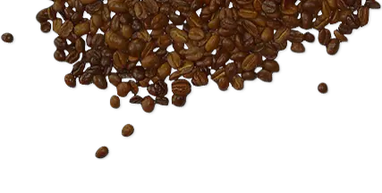 Coffee beans PNG image
