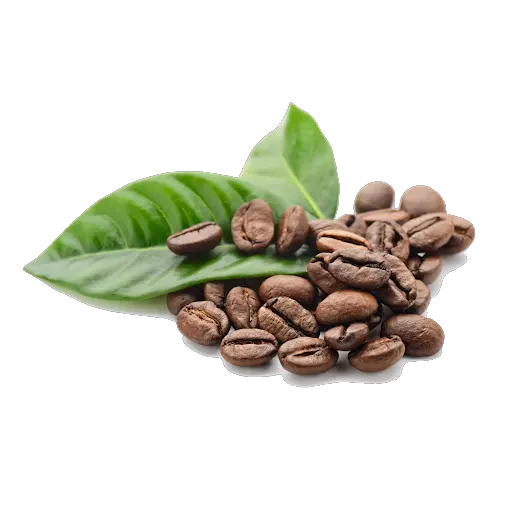 Coffee beans PNG