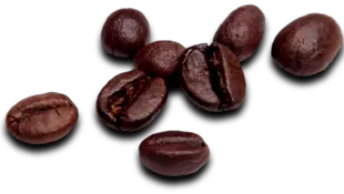 Coffee beans PNG image