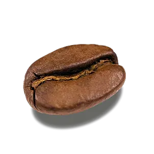 Coffee beans PNG