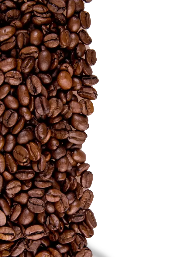 Coffee beans PNG image