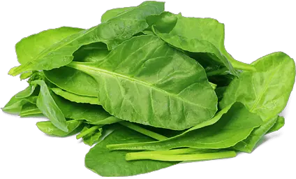 Spinach PNG