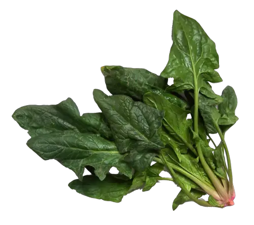 Spinach PNG