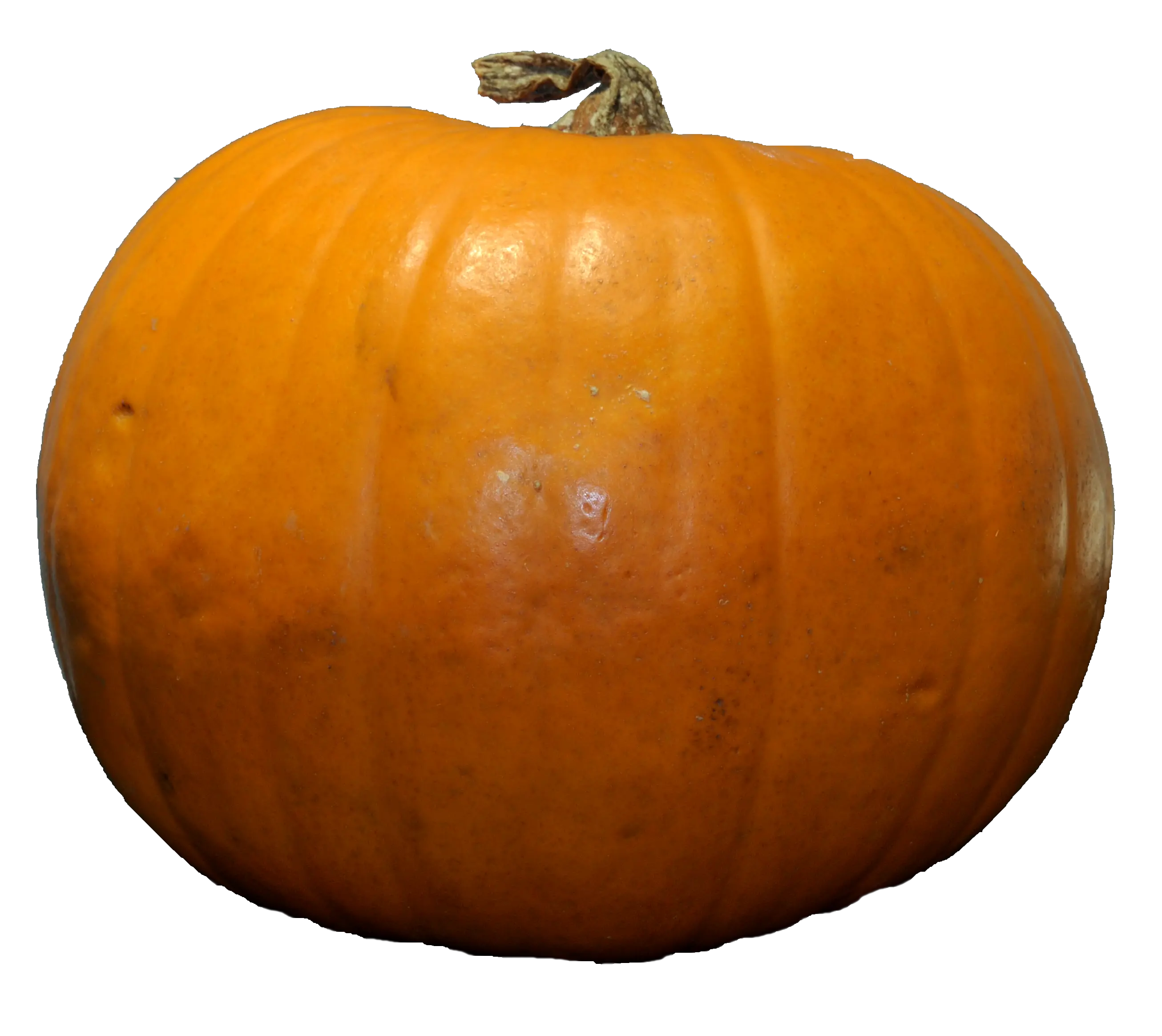 Pumpkin PNG image