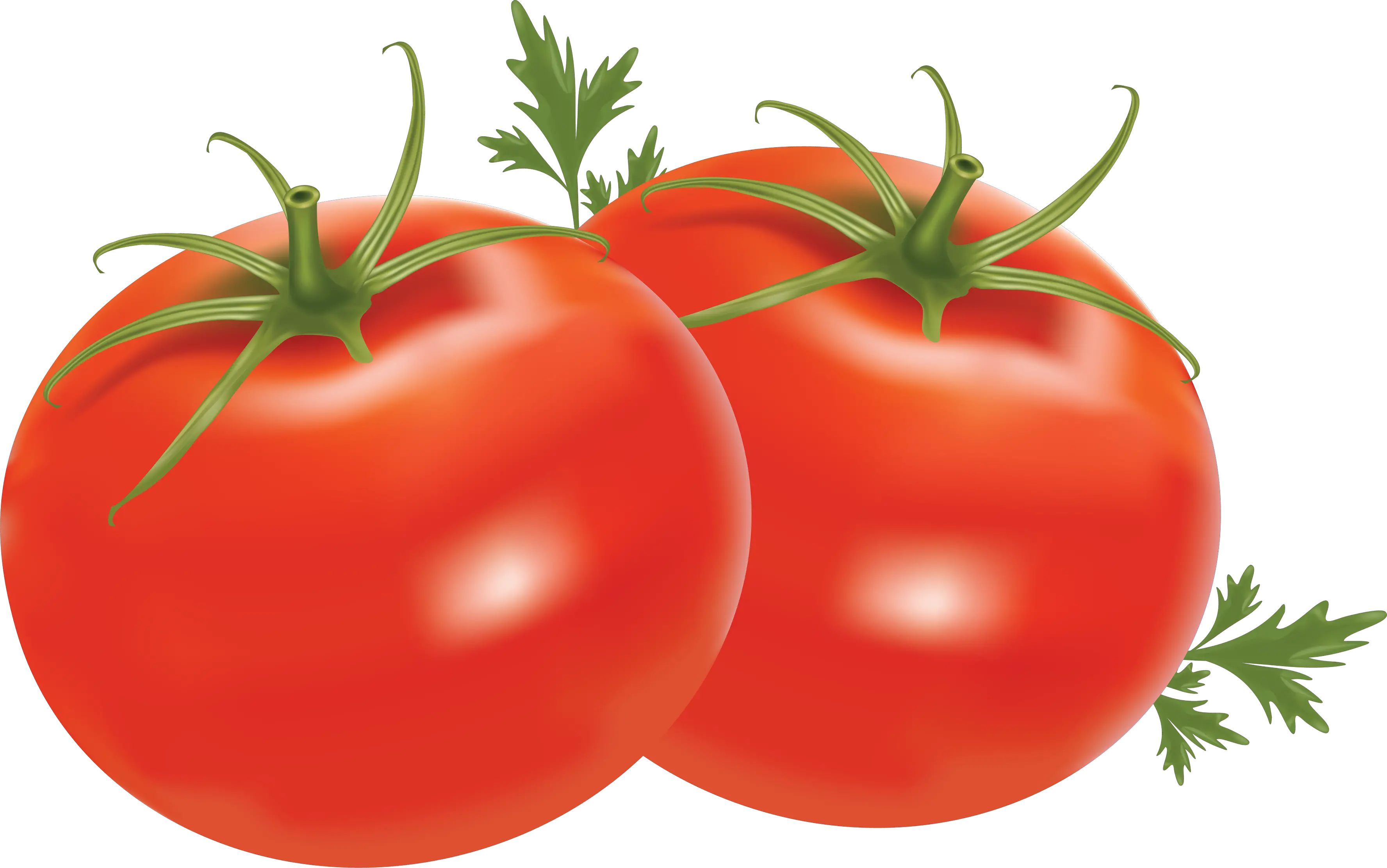 Tomatoes with leaves PNG