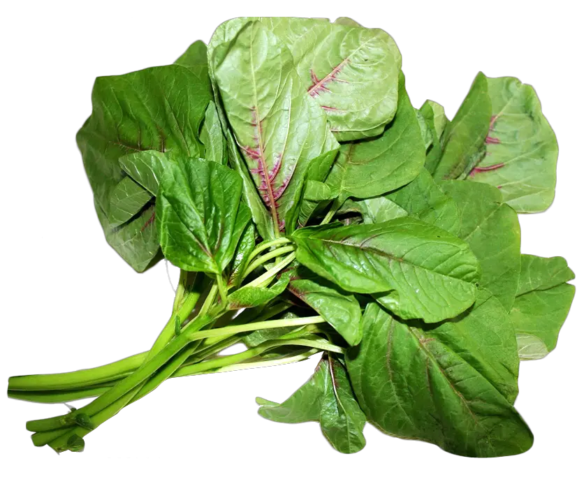 Spinach PNG