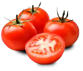 Tomato PNG