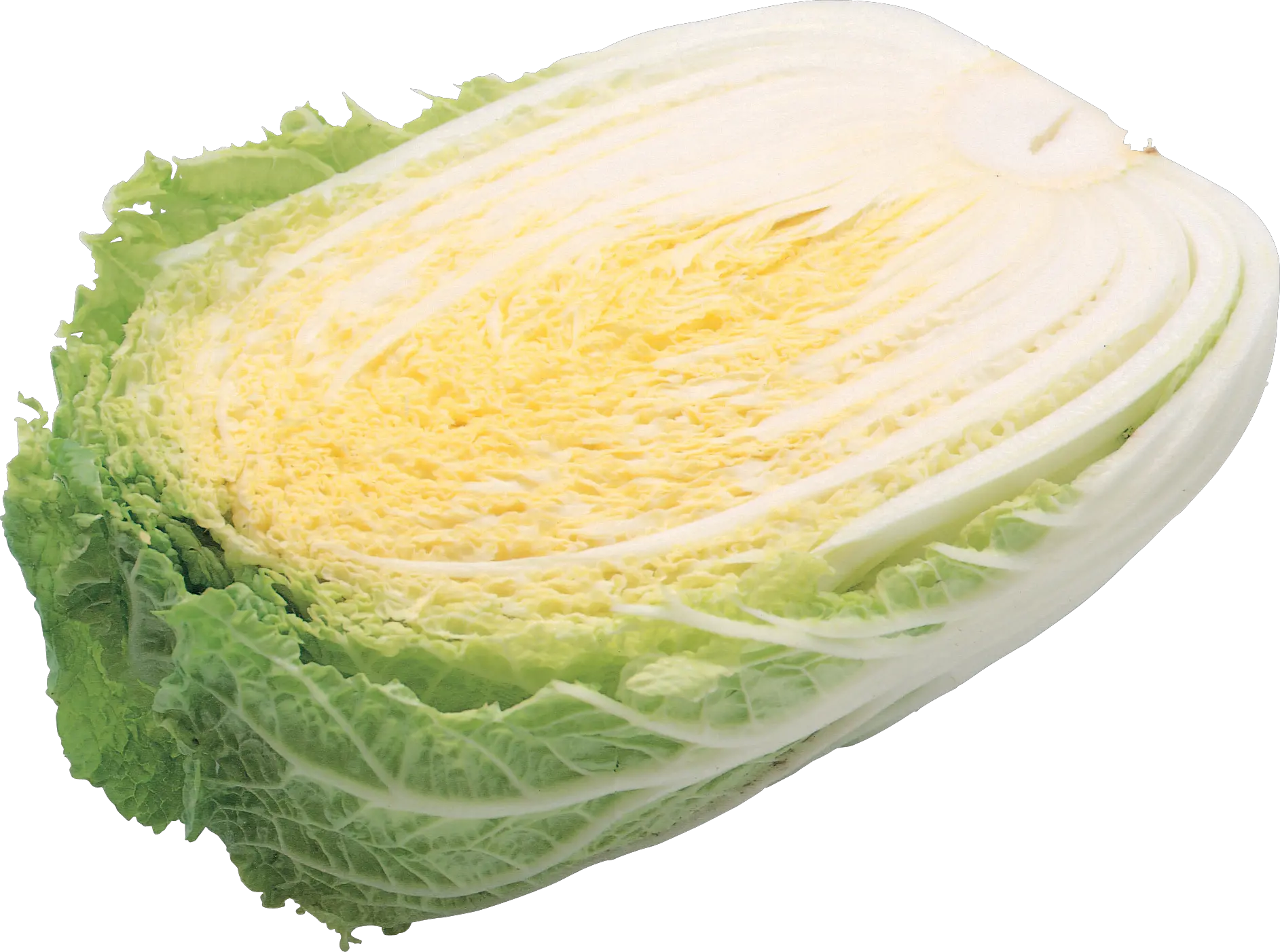 Salad PNG image