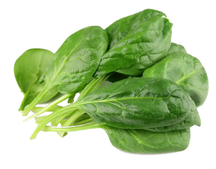 Spinach PNG