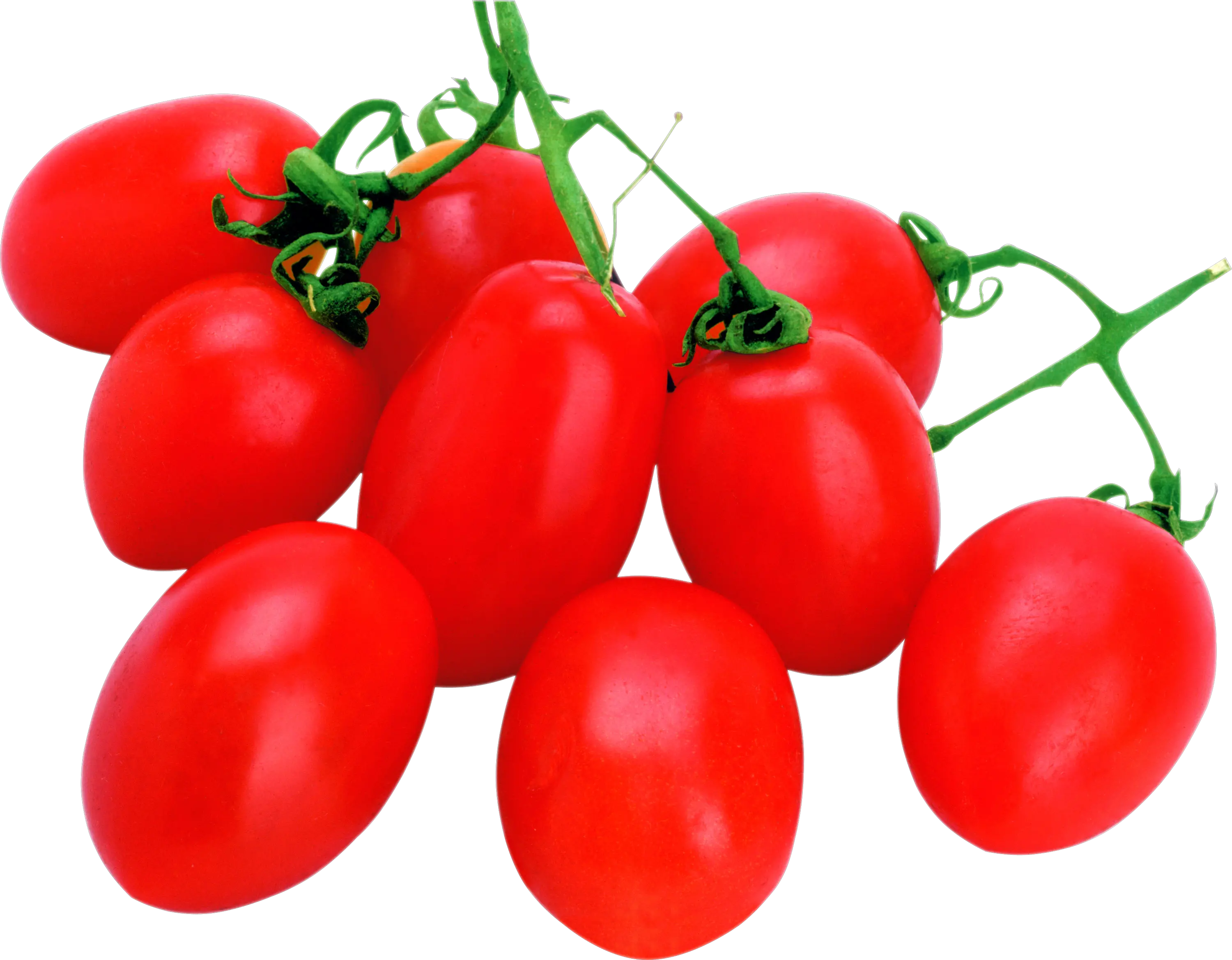 Tomatoes small PNG