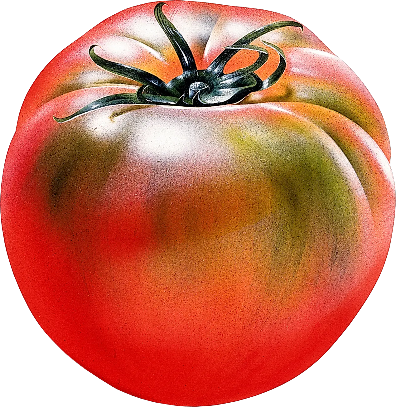 Large freash tomato PNG transparent background