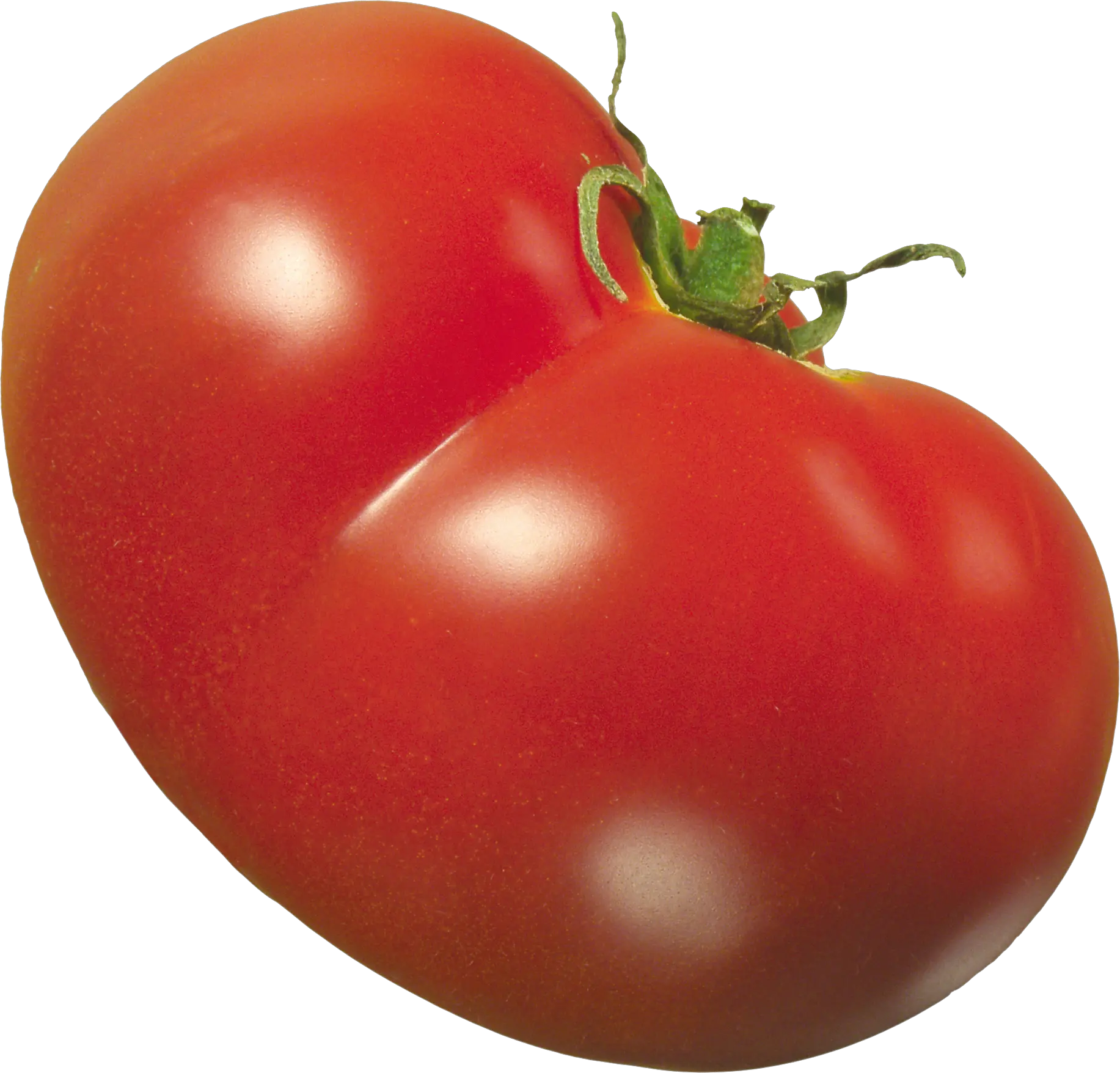 Tomato PNG picture