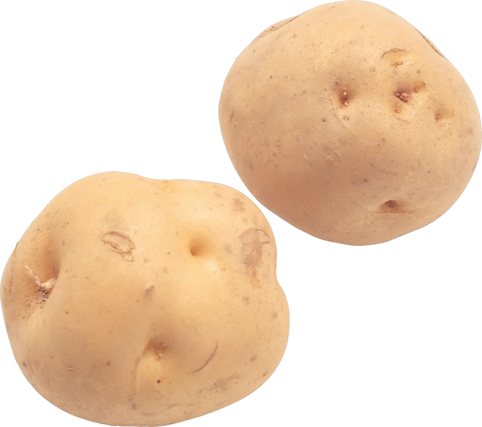 Potato png images pictures free download