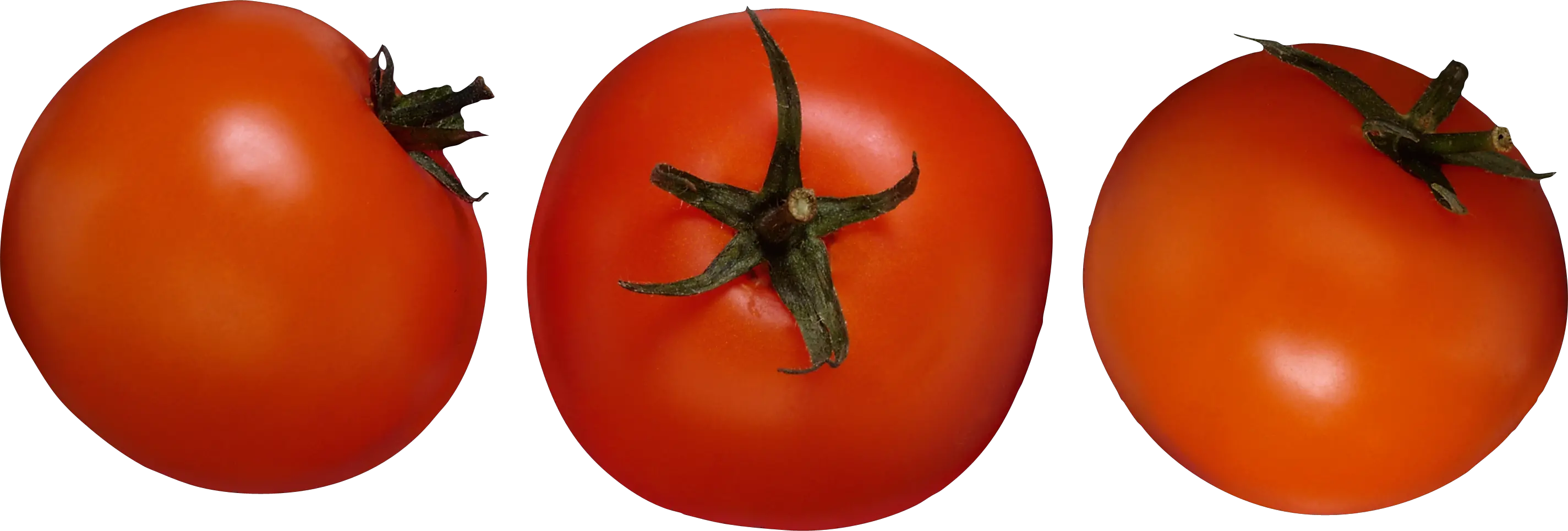 3 tomatoes PNG