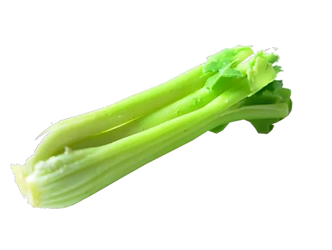 Celery PNG