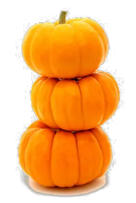 Pumpkin PNG image