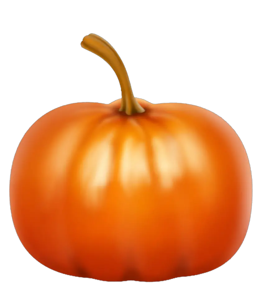 Pumpkin PNG image