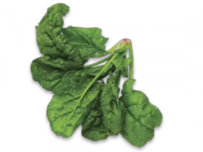 Spinach PNG