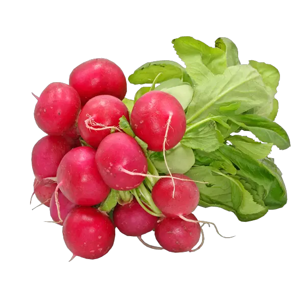 Radish PNG