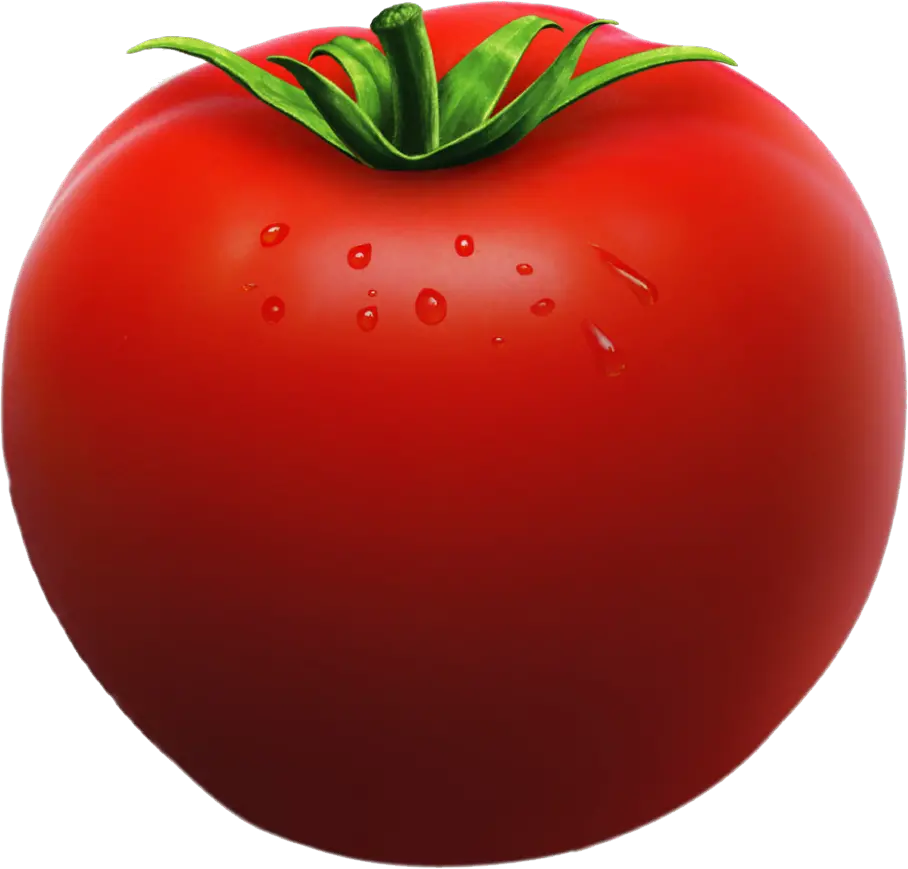 Tomato PNG image