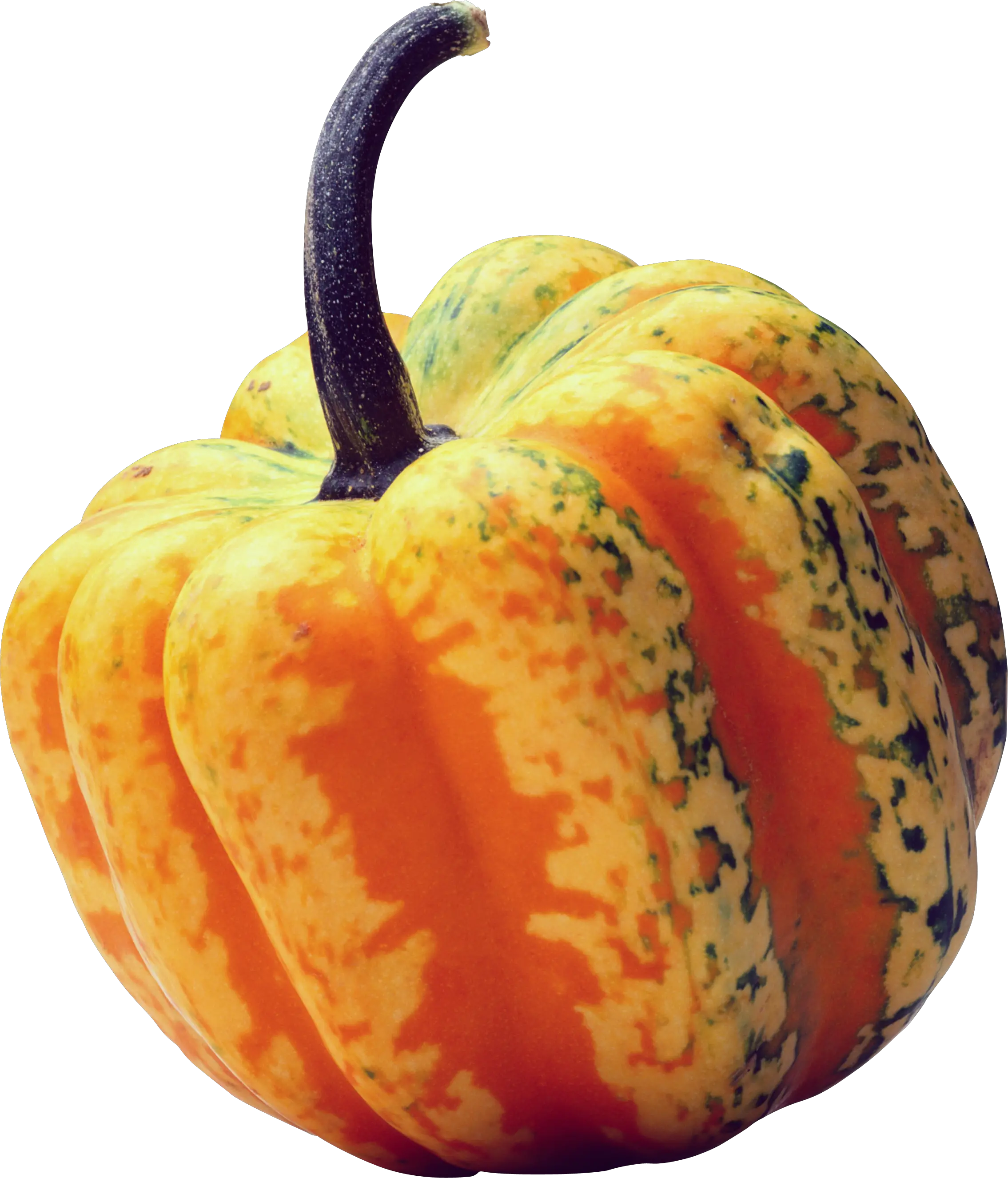 Pumpkin PNG image