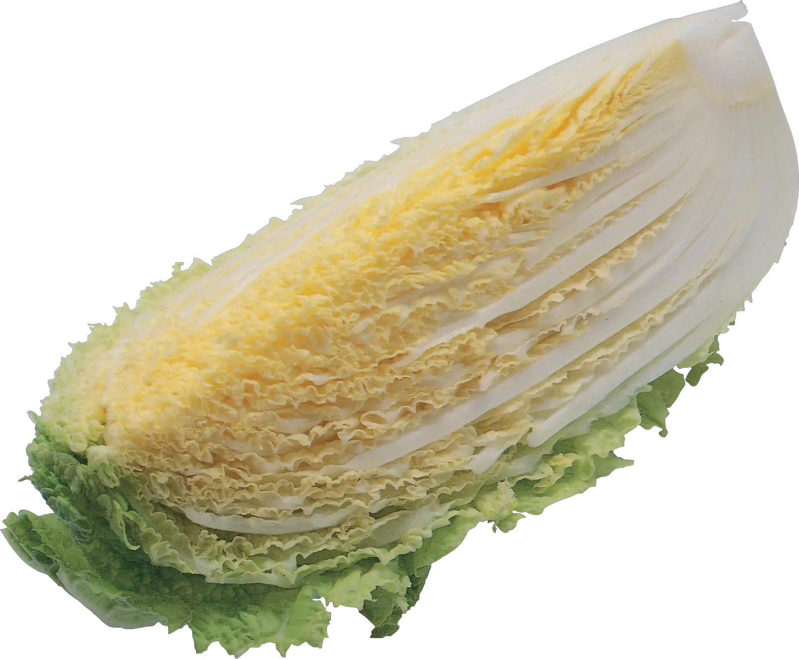 Salad PNG image