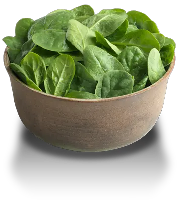 Spinach PNG