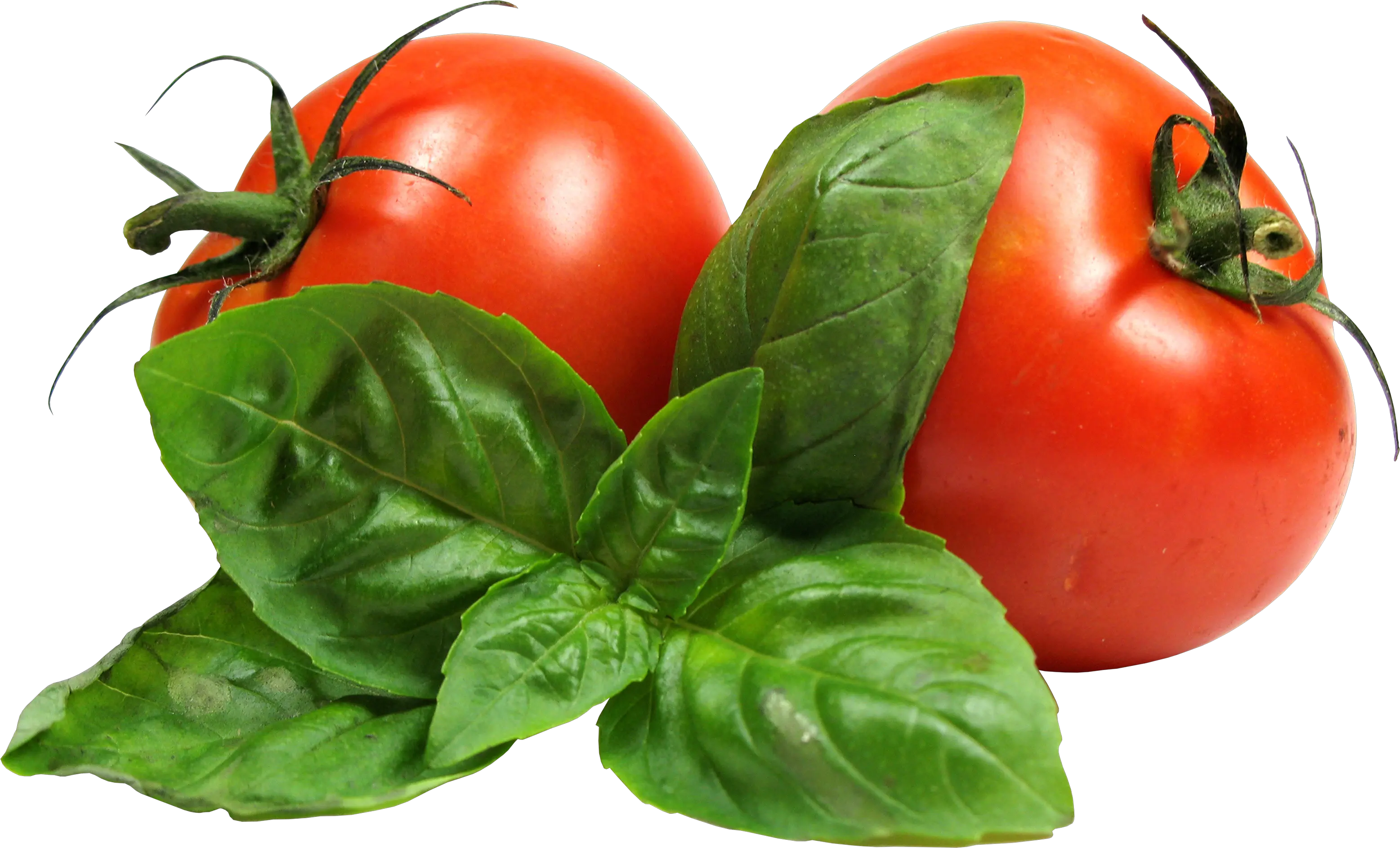 Tomatoes with leaves PNG image