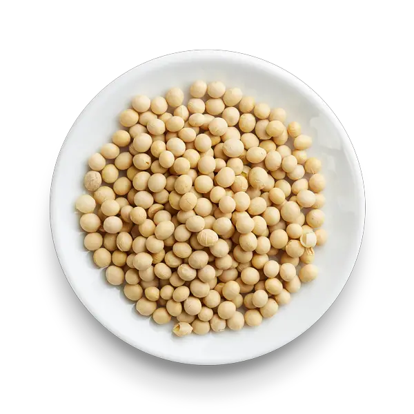 Soybean PNG