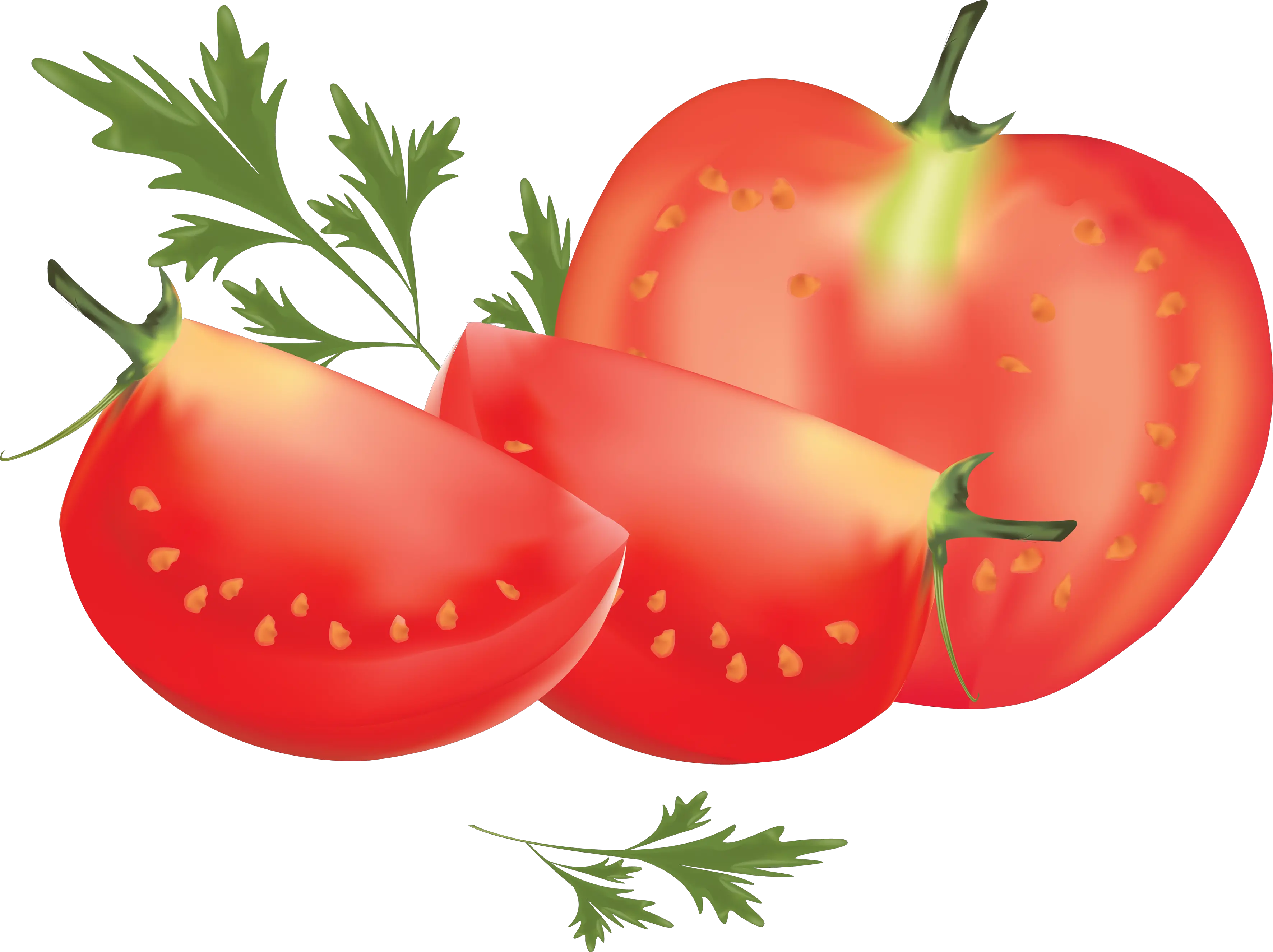 Cutted tomato PNG