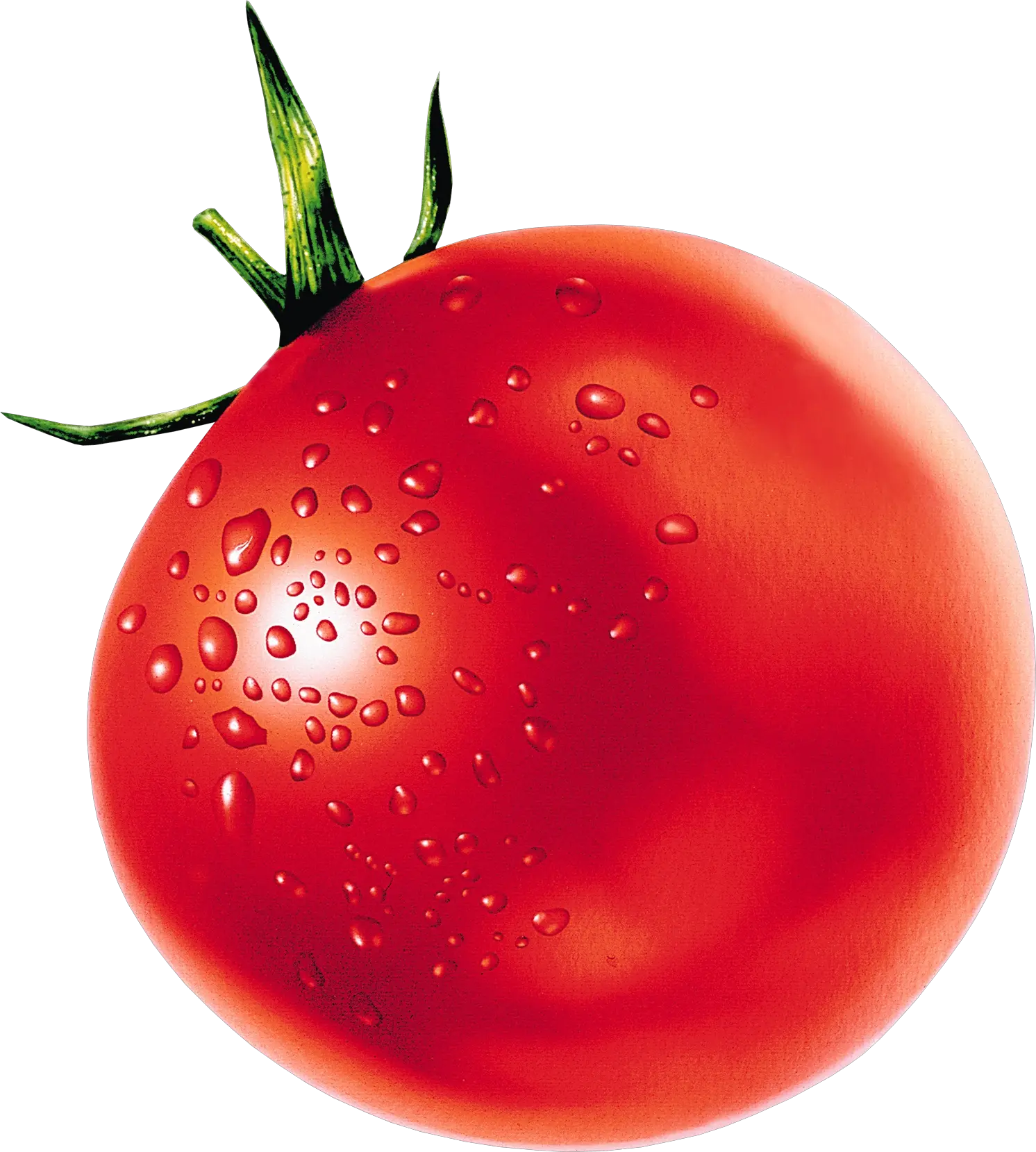 Tomato PNG