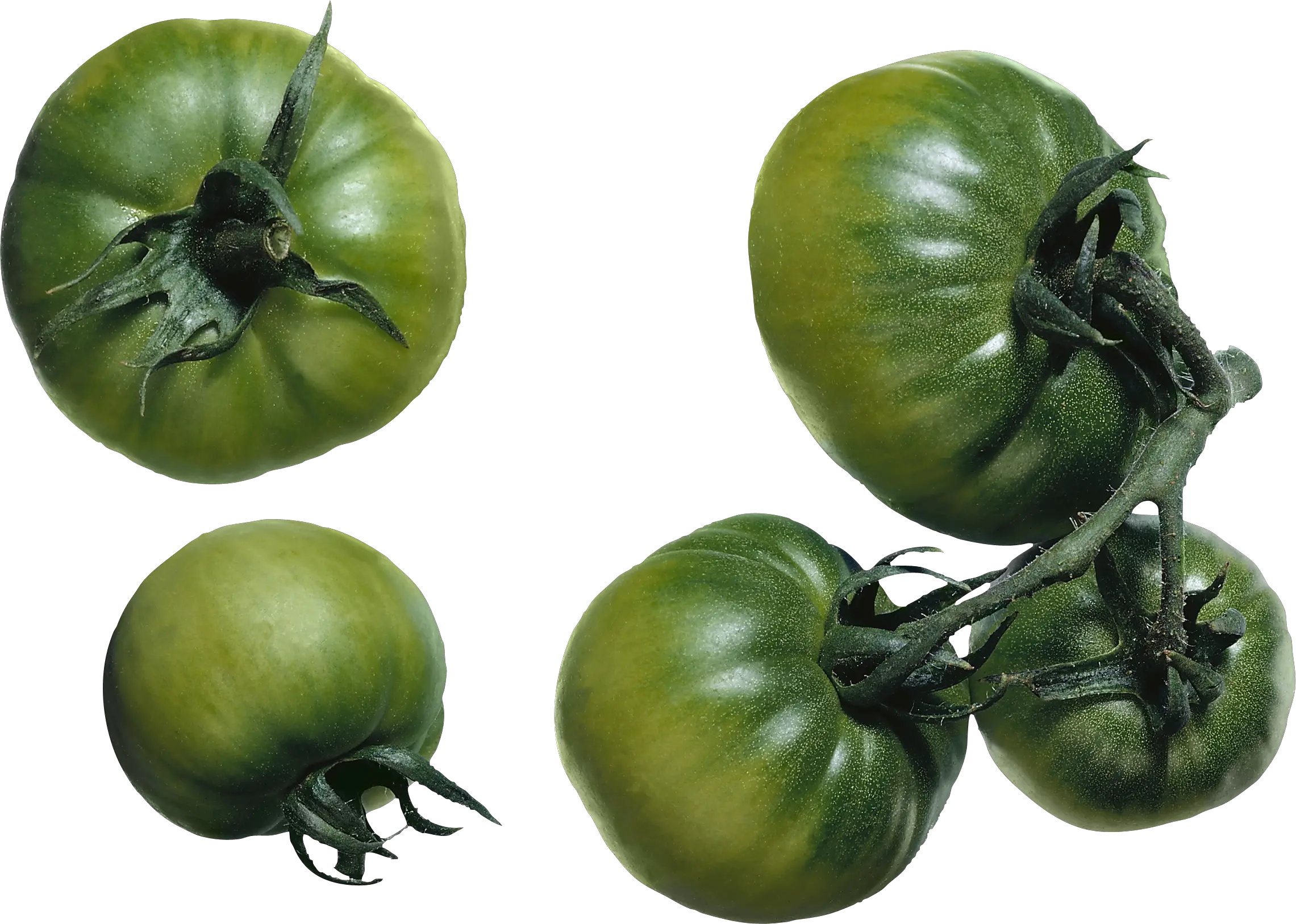 green tomatoes PNG