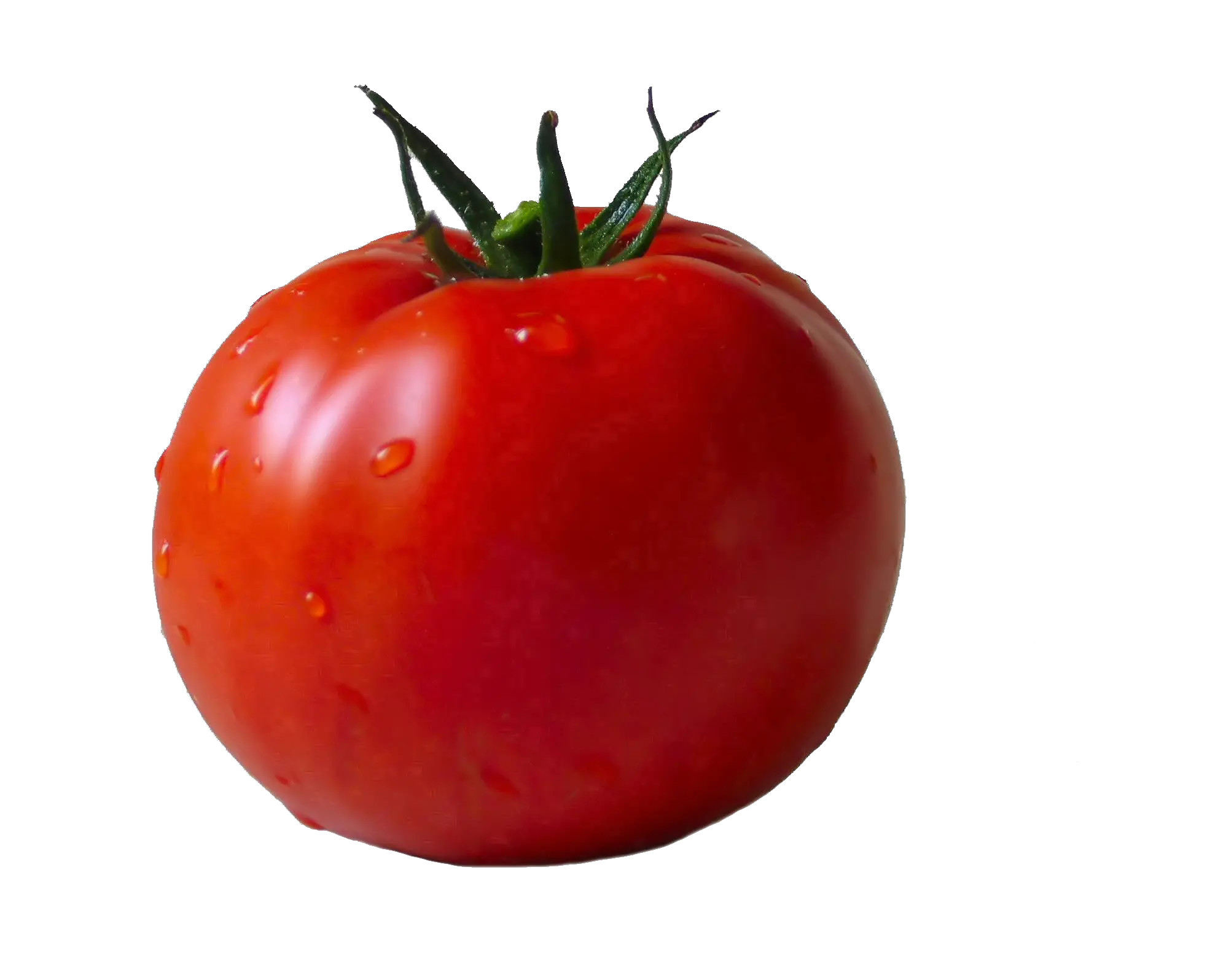 fresh tomato PNG