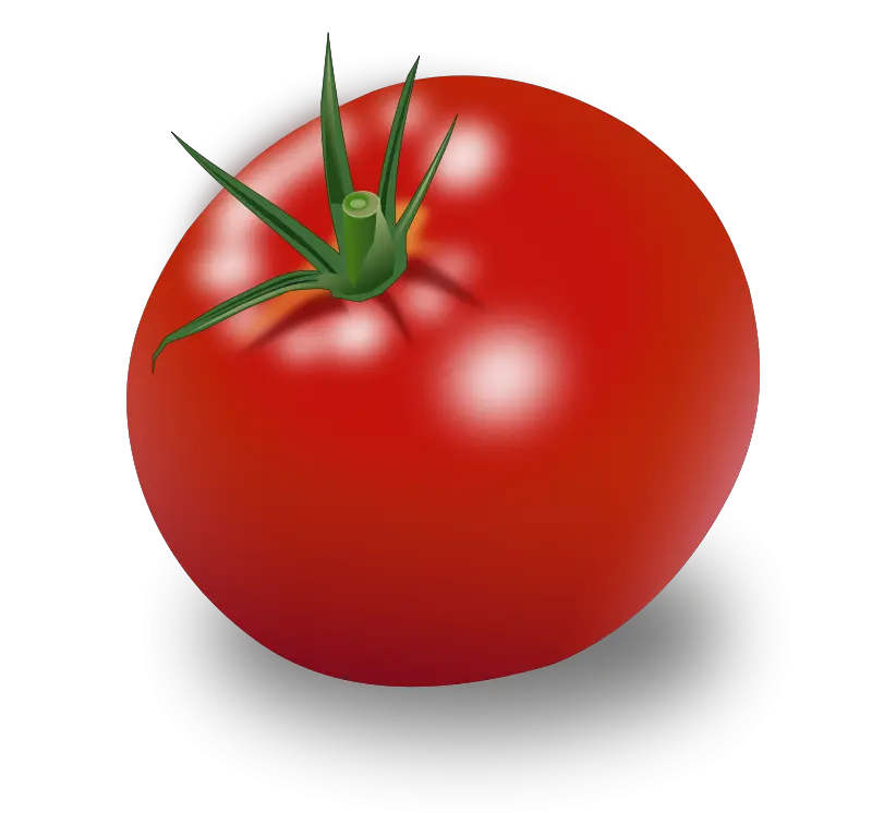 Tomato PNG