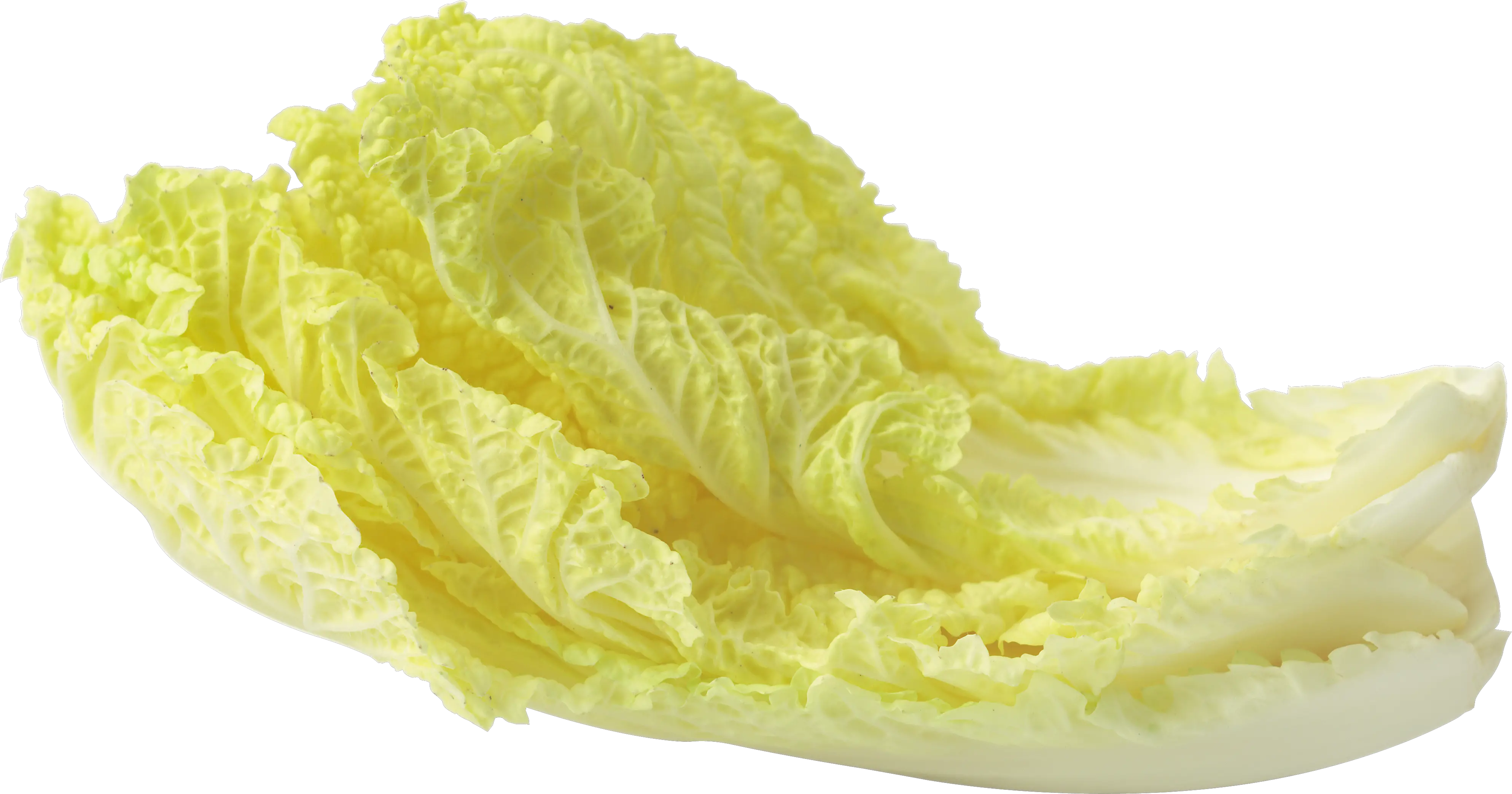 Salad leaf PNG image