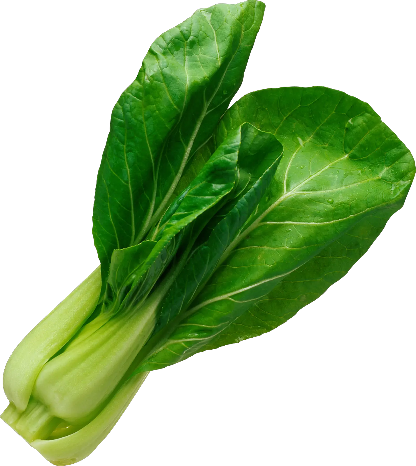 Spinach PNG