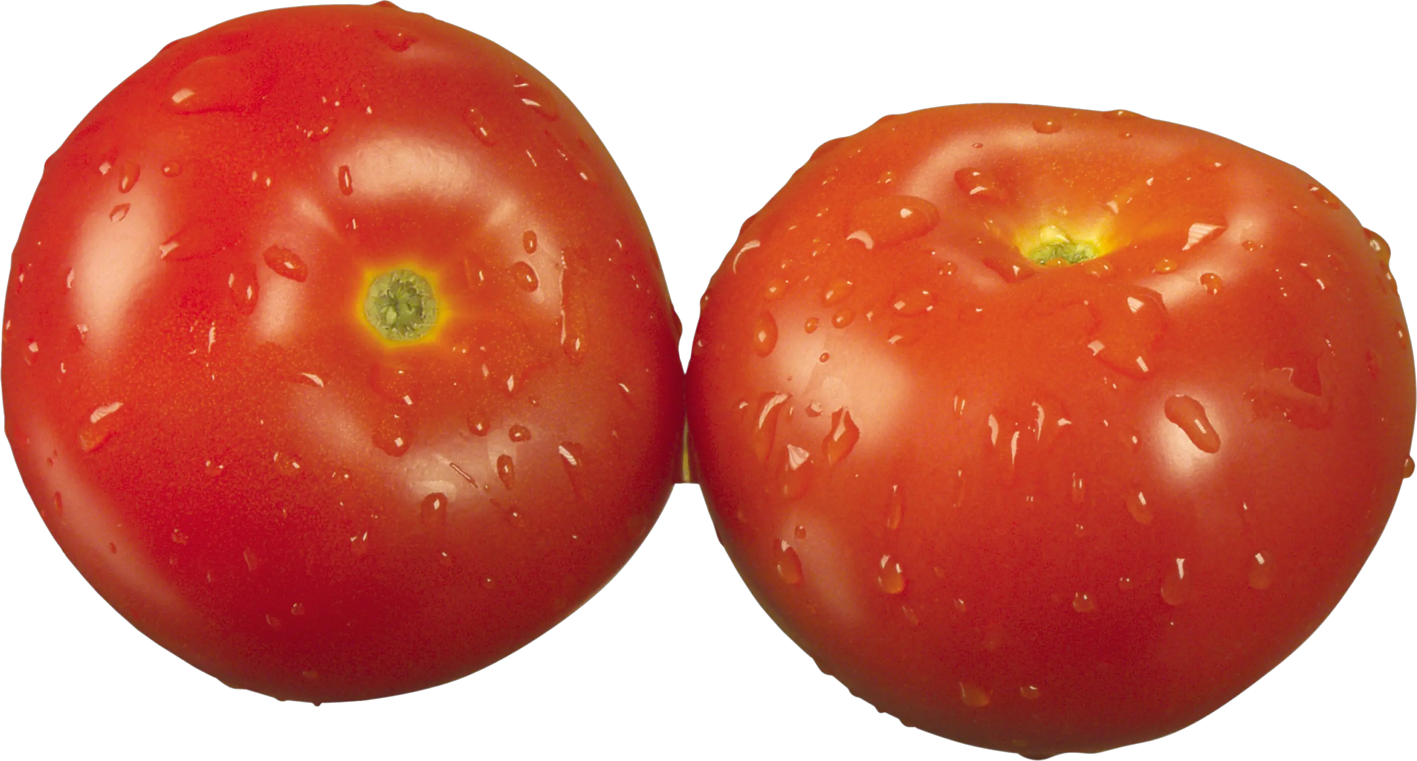 two tomatows PNG picture