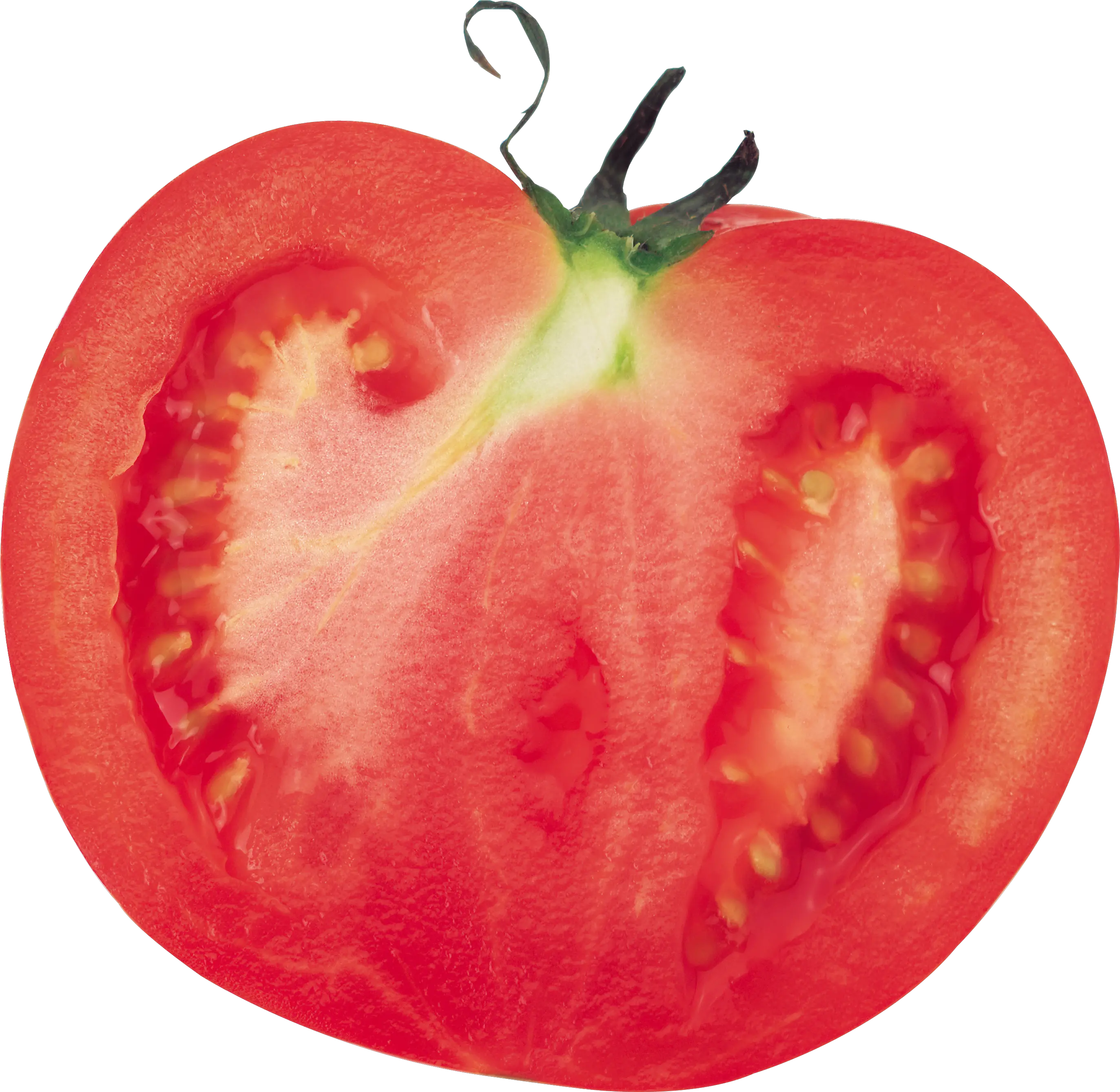 Half tomato PNG