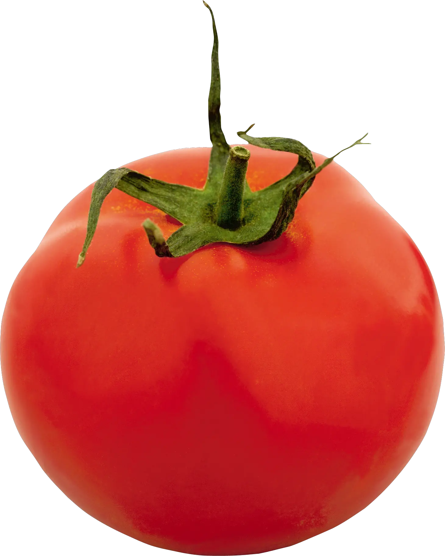 Tomato PNG