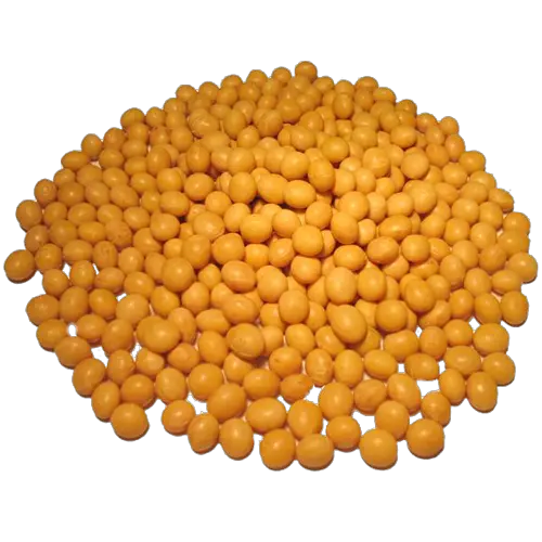 Soybean PNG