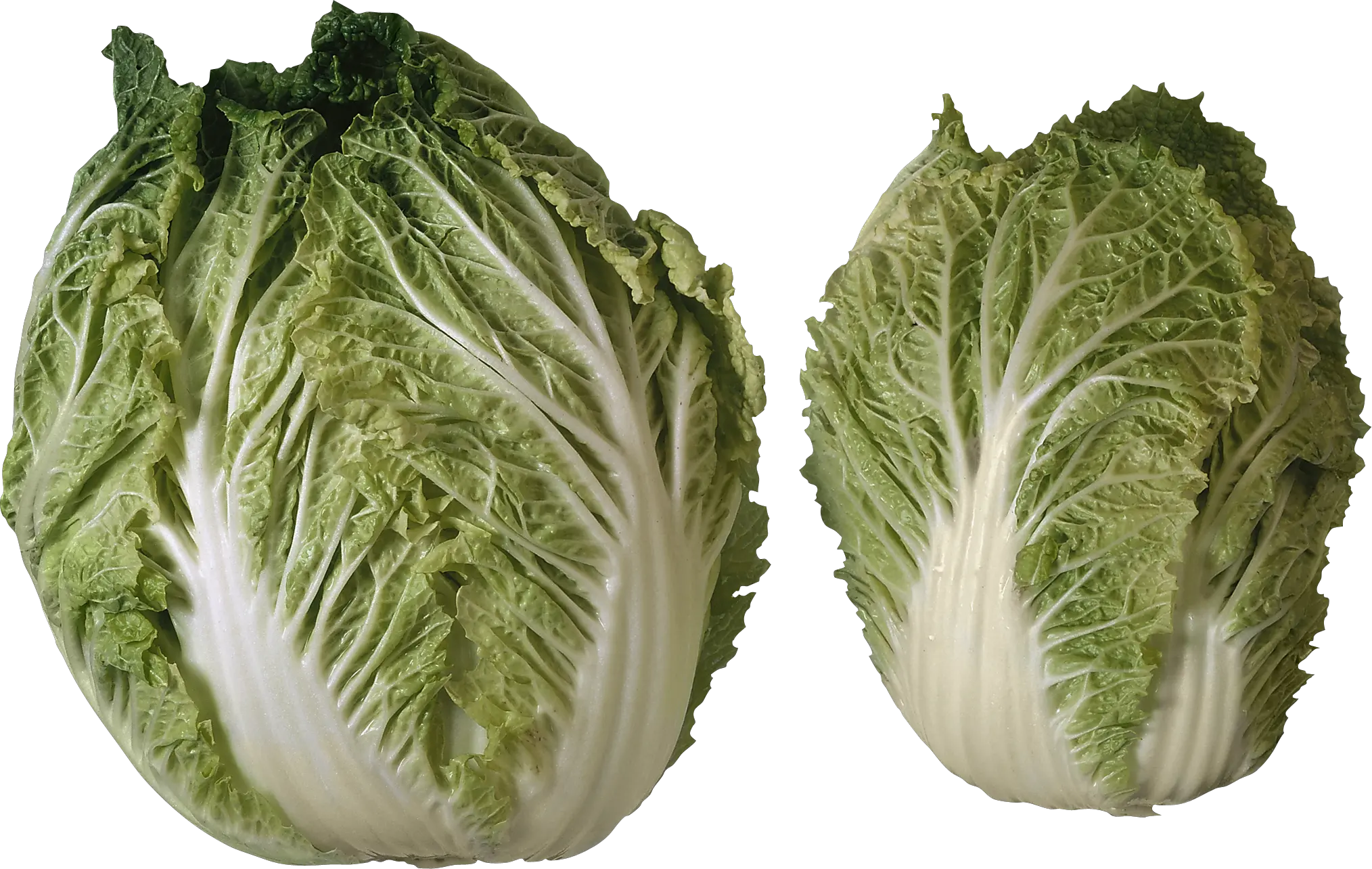 Salad PNG image