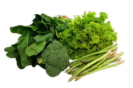 Spinach PNG