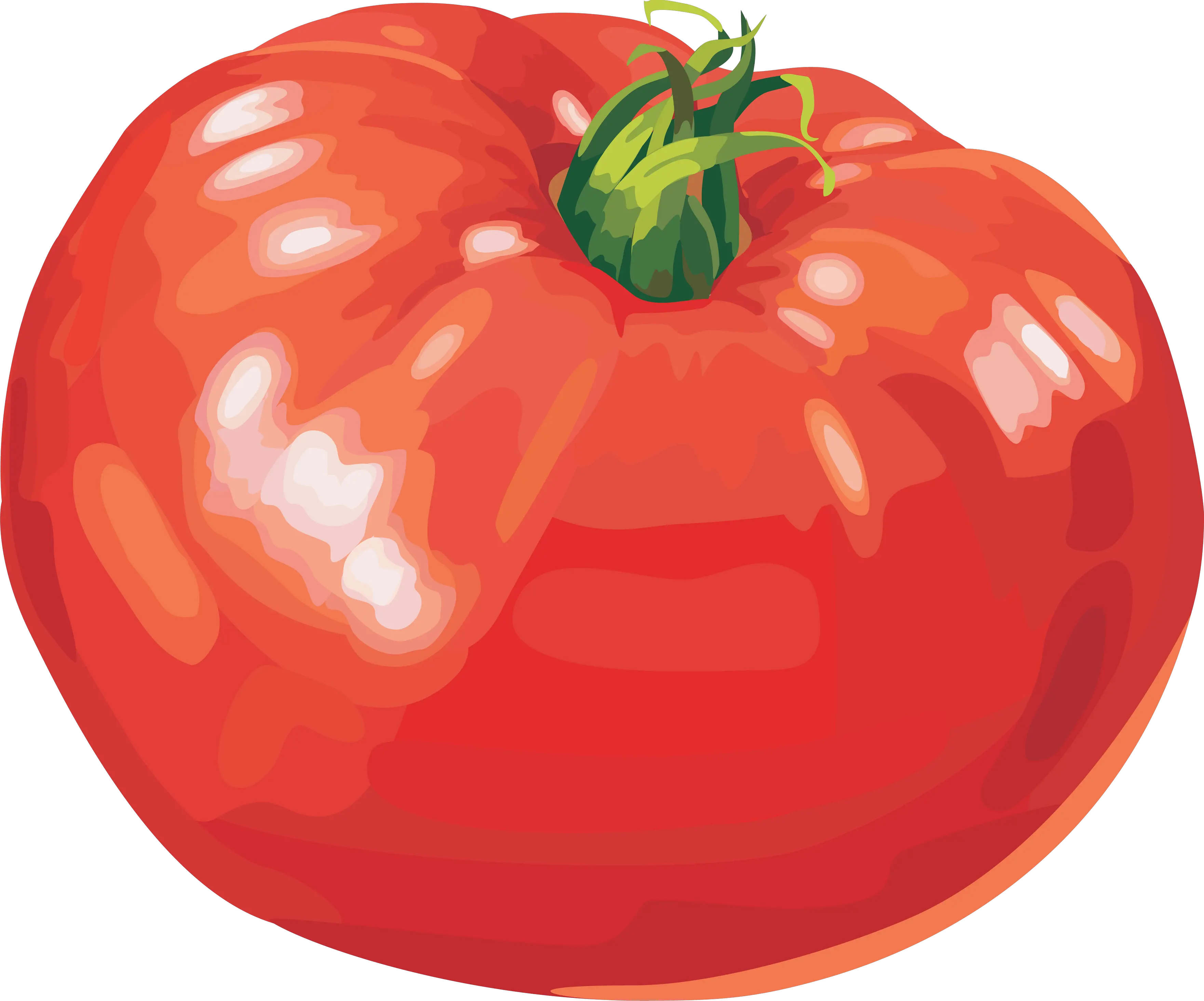 Tomato PNGpicture