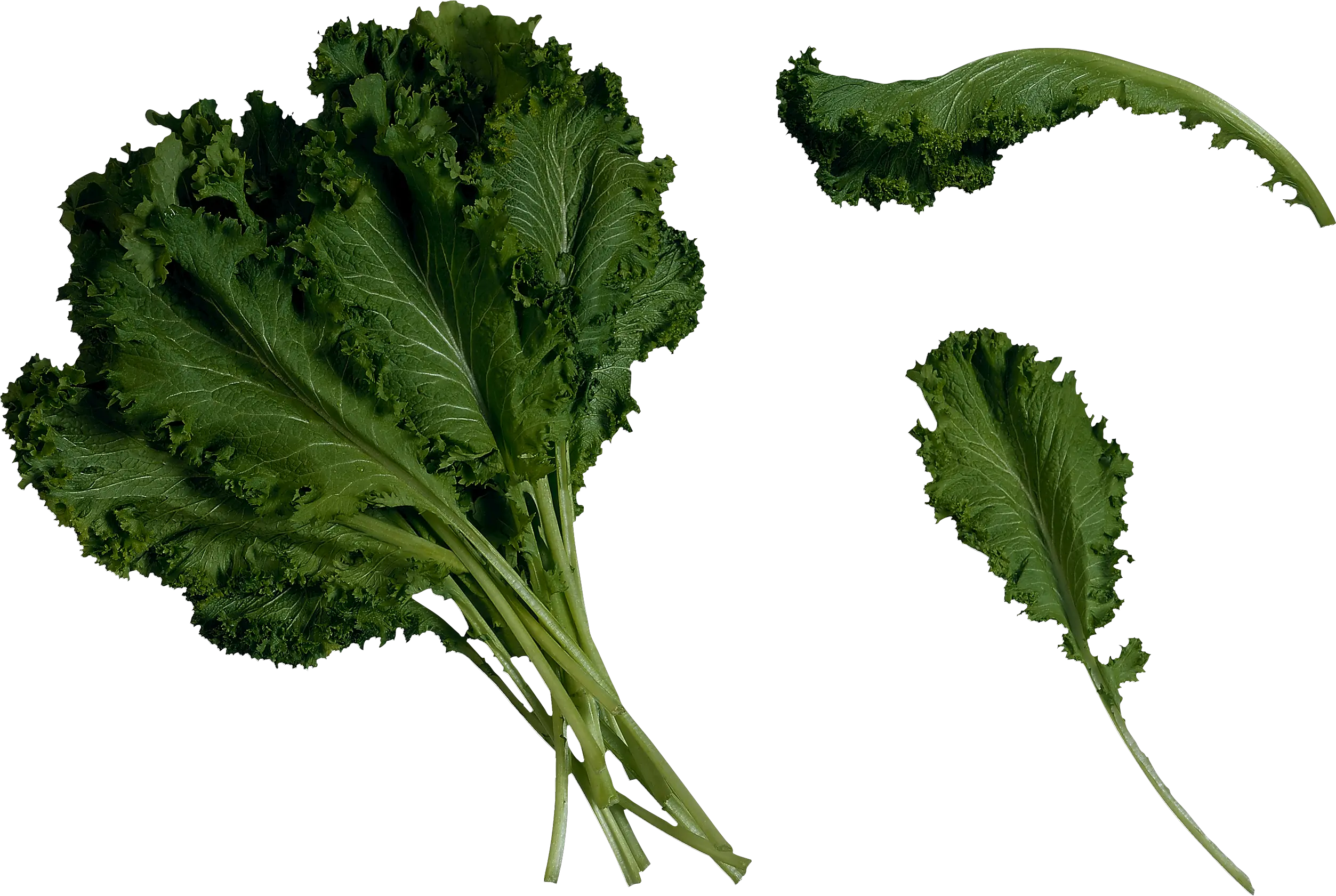 Salad PNG image