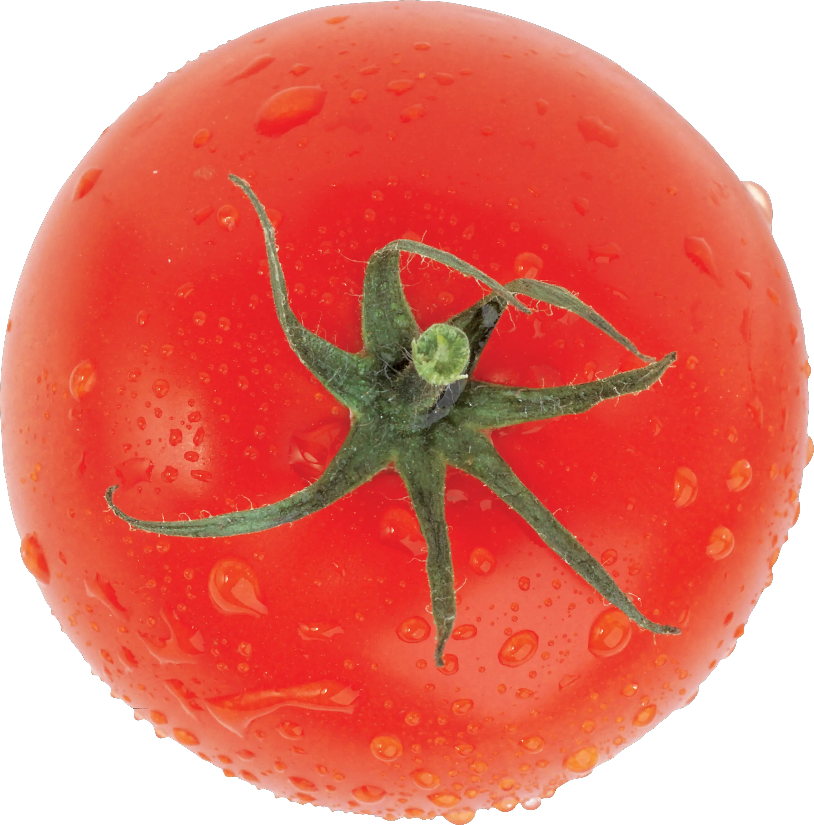 Tomato PNG image transparent