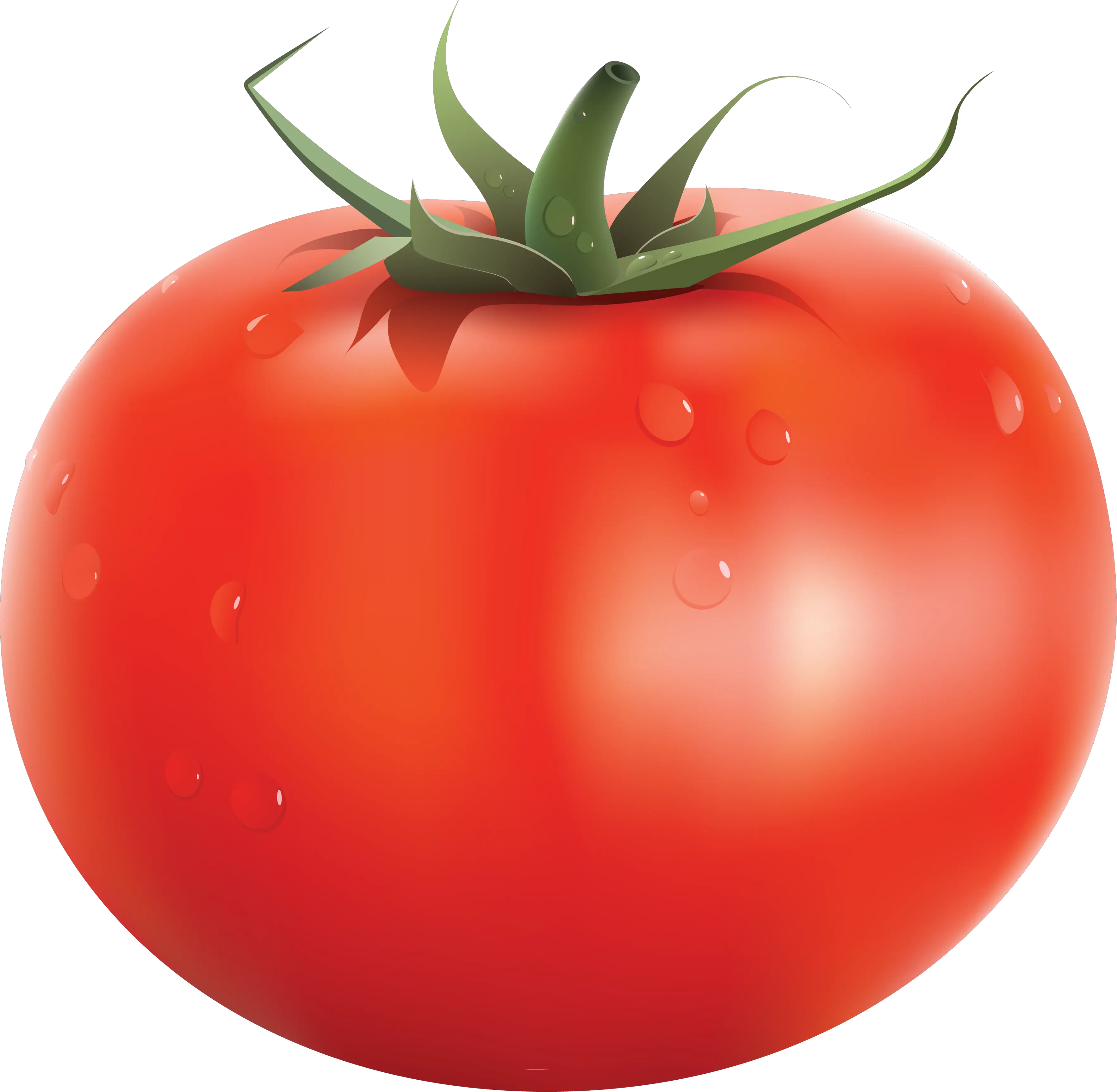 large red tomato PNG