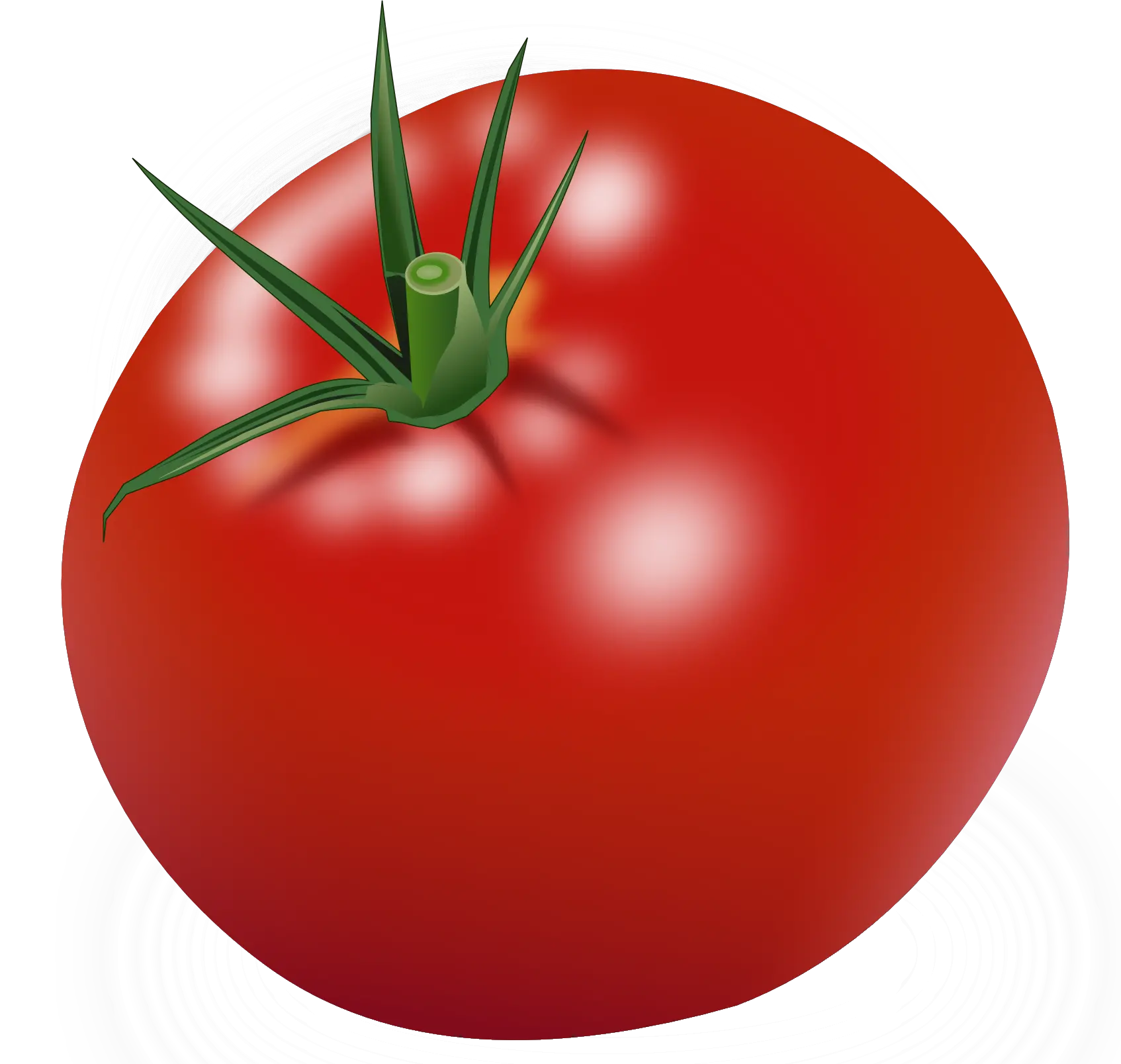 red big tomato PNG